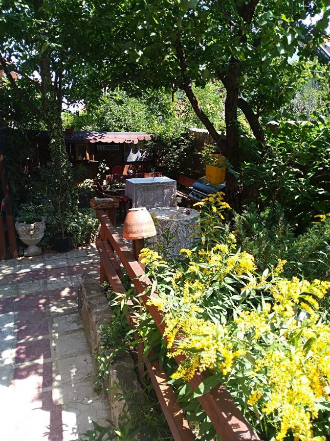 Durmitor Apartman Kumanovo Kültér fotó