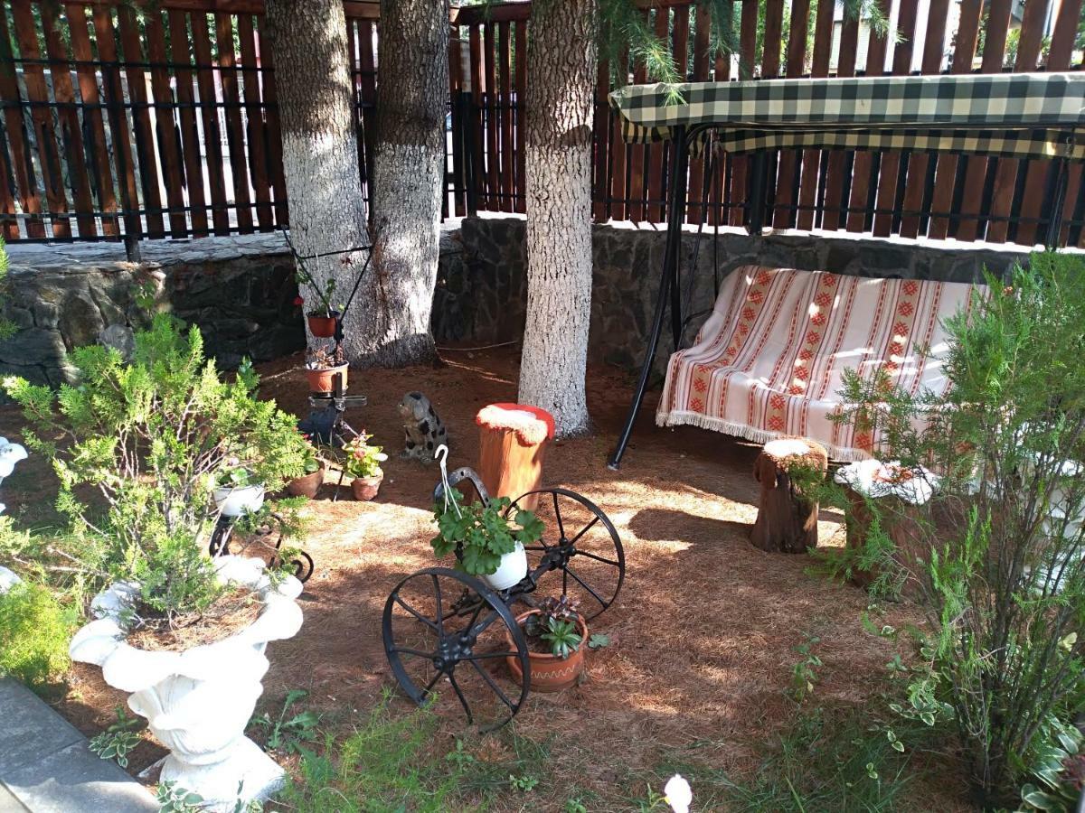 Durmitor Apartman Kumanovo Kültér fotó