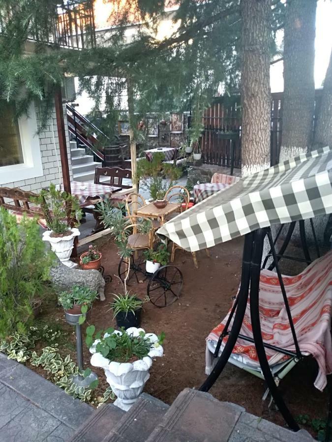 Durmitor Apartman Kumanovo Kültér fotó