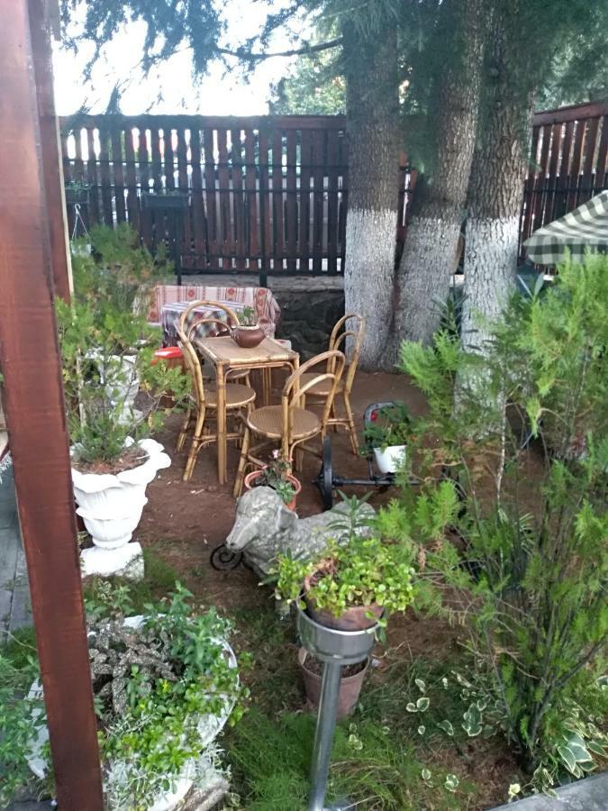 Durmitor Apartman Kumanovo Kültér fotó