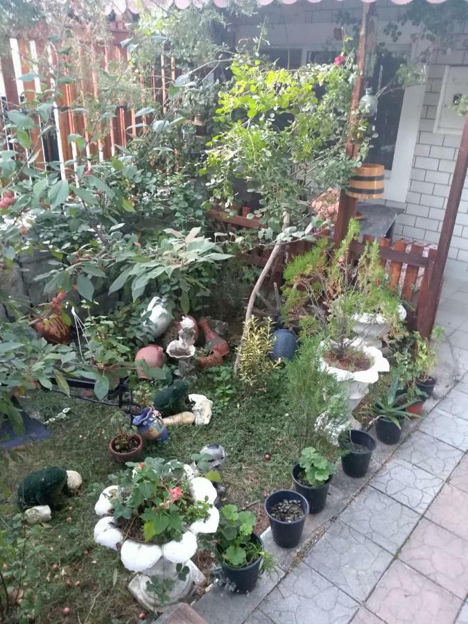 Durmitor Apartman Kumanovo Kültér fotó