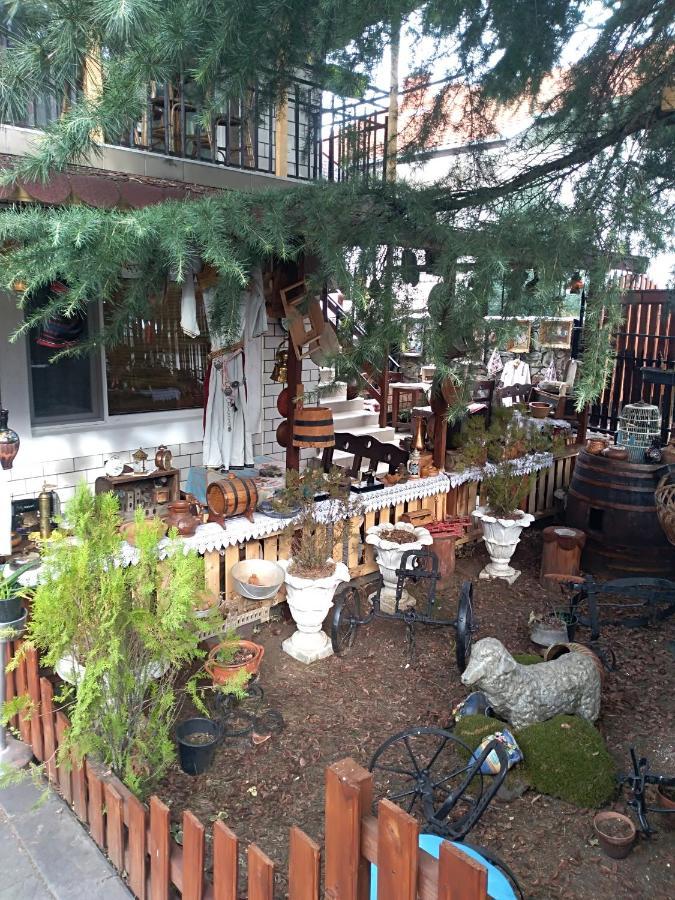 Durmitor Apartman Kumanovo Kültér fotó